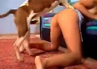 Doggy style drilling with a twisted dog