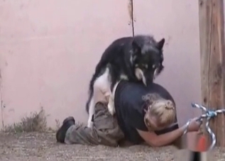 Seductive zoophile chick loves fucking dogs
