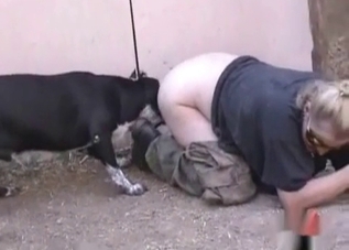 Seductive zoophile chick loves fucking dogs