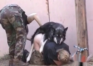 Seductive zoophile chick loves fucking dogs