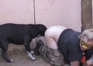 Seductive zoophile chick loves fucking dogs