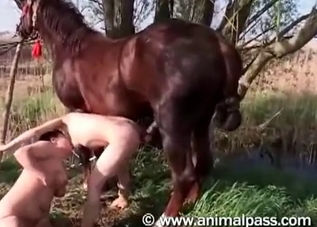 This horse cock is going to haunt your dreams