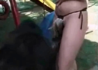 Impressive bestiality with a huge beast