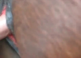 Twisted animal enjoying a cock up the ass