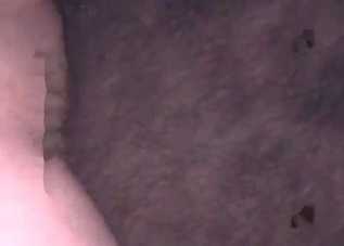 Horse's tight ass fucked by a hung dude