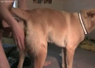 Attractive dude fucking a tight puppy