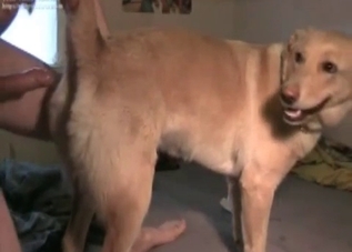 Attractive dude fucking a tight puppy