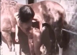 Horse dong is getting pleasured by a stripper