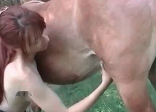 Horny horse fucking a sexed-up redheaded