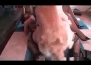 Cute chick gets power-fucked by a dog
