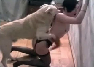 Incredibly sexy dog and this seductive slut
