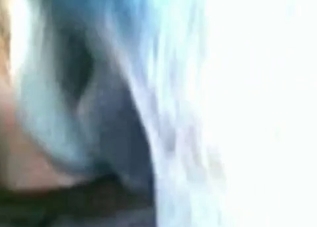Gorgeous horse enjoying insane anal fucking