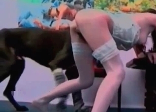 Dirty Doberman rapes a submissive slut