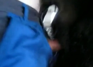 Pretty hot dog gets banged by a hung owner