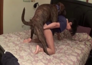 Kinky amateur about to fuck a hot doggo