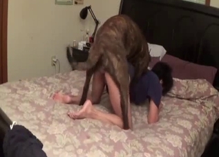 Kinky amateur about to fuck a hot doggo