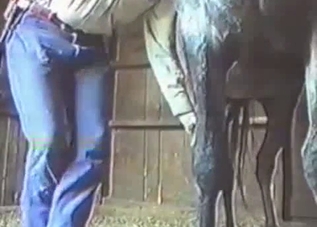 Hung stallion gets a real nice handjob