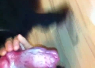 Showcasing that meaty red dog cock