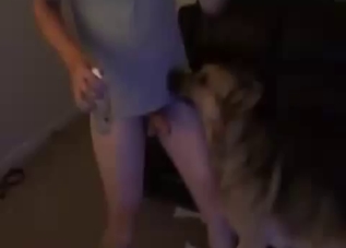 Dude gets his dog to fuck his gay ass
