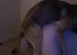 Dude gets his dog to fuck his gay ass