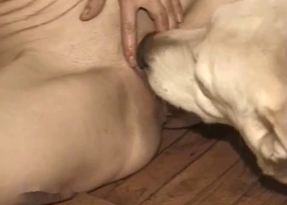 Kinky amateur licked by a horny doggo