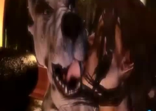 Busty brunette fucking a dog (3D zoo XXX)