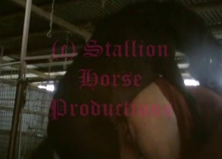 Big booty dude fucking a hung stallion