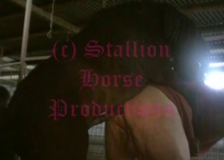 Big booty dude fucking a hung stallion