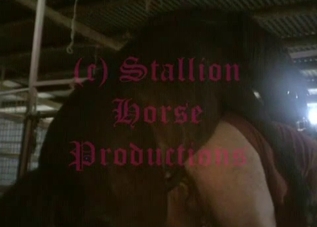 Big booty dude fucking a hung stallion
