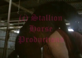 Big booty dude fucking a hung stallion