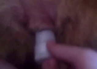 Dude drilling that animal cunt with toys
