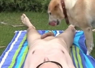 Relaxed dude gets a BJ from his dog