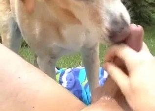 Relaxed dude gets a BJ from his dog