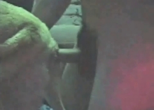 POV fucking session with a sexed-up doggo
