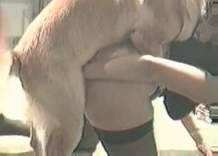 Tight pussy getting gaped by a sexy dog