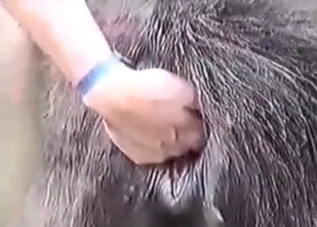 Dog getting seduced by a hard dude