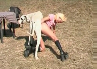Kinky dog showing how naughty it can be