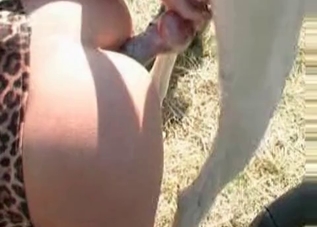 Kinky dog showing how naughty it can be