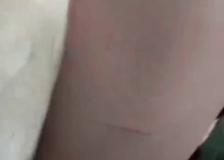 Cute animals enjoying tight pussies on cam