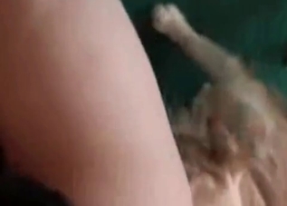 Cute animals enjoying tight pussies on cam
