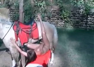 Gorgeous-looking horse enjoying raw fucking