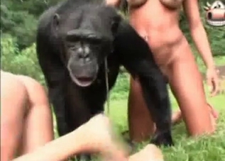 Cute chicks fucking monkeys here