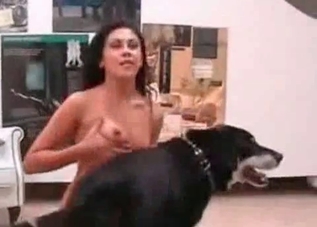 Twisted pet enjoying several hotties, at once