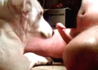 Insane bestiality session with a sexy brown dog