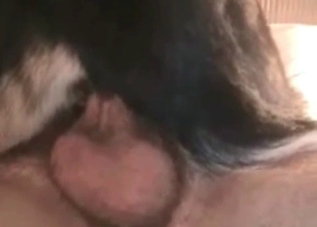 Seductive dog and a big-dicked dude
