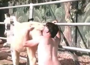 Violent sex with a sexy-ass white pony