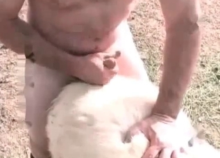 Violent sex with a sexy-ass white pony