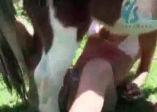 Slutty duo is about to fuck this horny horse
