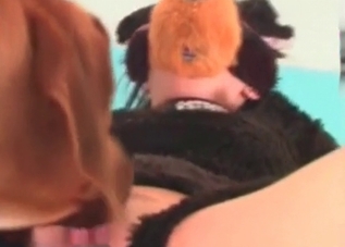 Costumed slut enjoying dog cock on cam