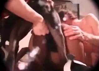 Bedroom banging with a horny doggo